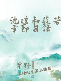 沈浪和苏若雪全章节目录
