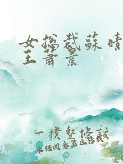 女总裁苏晴与兵王萧晨