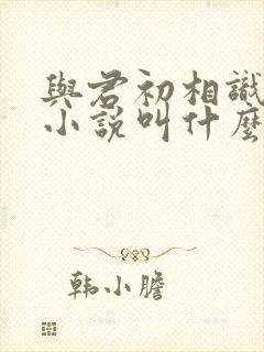 与君初相识原著小说叫什么