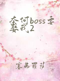 奈何boss要娶我2