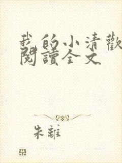 我的小清欢在线阅读全文
