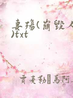 妻殇(崩毁人生)txt