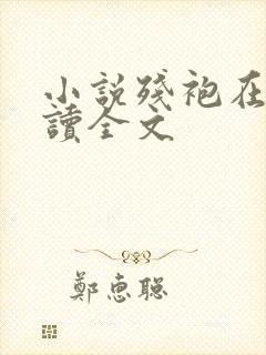 小说残袍在线阅读全文