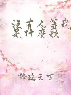 没有人等我太久是什么歌