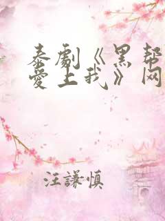 泰剧《黑帮少爷爱上我》网盘