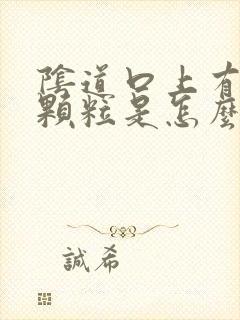 阴道口上有小肉颗粒是怎么回事