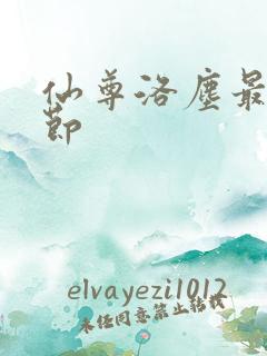 仙尊洛尘最新章节