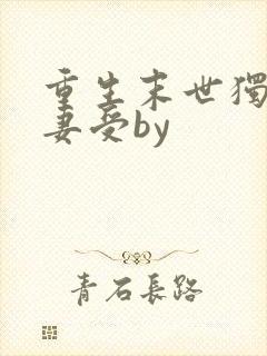 重生末世独宠男妻受by