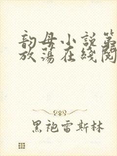 韵母小说第一部放荡在线阅读