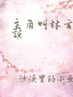 主角叫林玄的小说