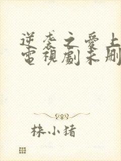 逆袭之爱上情敌电视剧未删减版