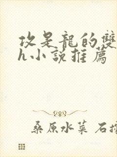 攻是龙的双男主h小说推荐