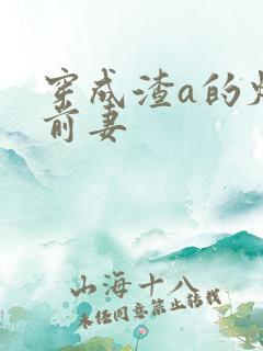 穿成渣a的炮灰前妻