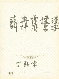 苏冉霍怀瑾小说叫什么名字来着