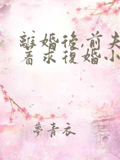 离婚后,前夫哭着求复婚小说全文在线阅读