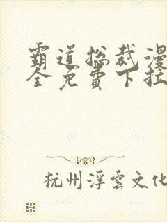 霸道总裁漫画大全免费下拉式