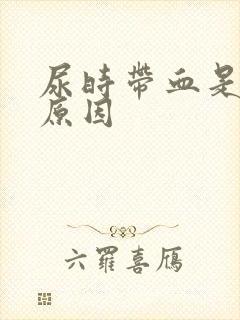 尿时带血是什么原因