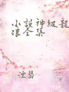 小说神级龙卫沈浪全集
