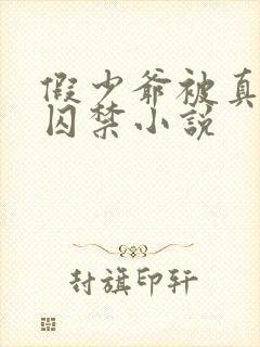 假少爷被真少爷囚禁小说