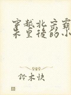 穿越北宋霸占了朱皇后的小说