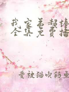 我家弟超棒动漫全集免费播放