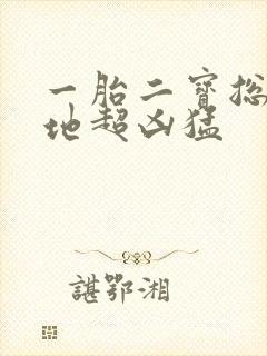 一胎二宝总裁爹地超凶猛