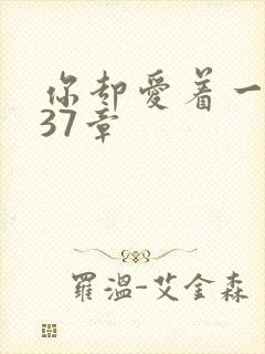 你却爱着一个他37章