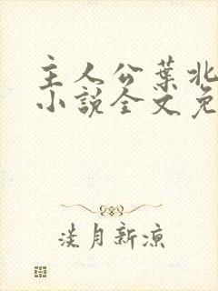 主人公叶北辰的小说全文免费阅读