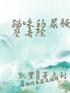 猫咪的尿骚味怎么去除