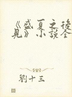 《盛夏之后不再见》小说全文阅读