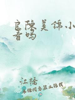 良陈美锦小说好看吗