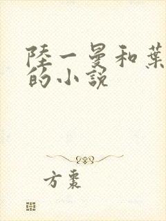 陆一曼和叶风云的小说