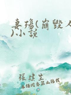 妻殇(崩毁人生)小说