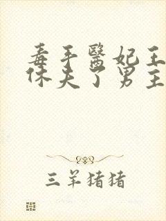 毒手医妃王爷被休夫了男主是谁