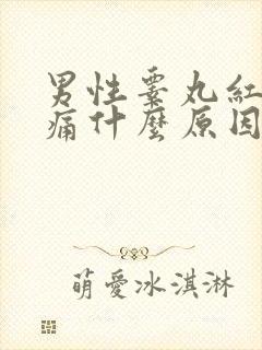 男性睾丸红肿疼痛什么原因