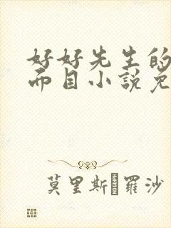 好好先生的真实面目小说免费阅读