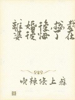 离婚后,总裁老婆后悔了在线阅读