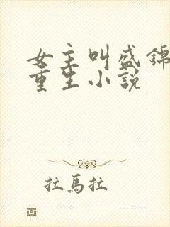 女主叫盛锦初的重生小说