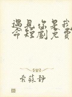 遇见你是我的宿命短剧免费完整版