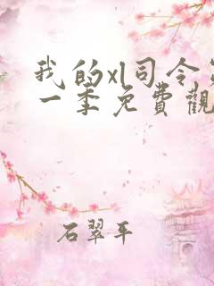 我的xl司令第一季免费观看动漫全集