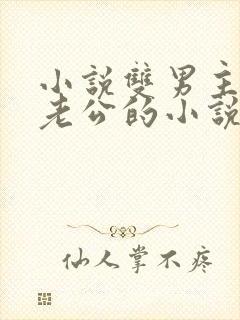 小说双男主虐文老公的小说推荐完结