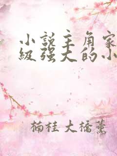 小说主角家族超级强大的小说