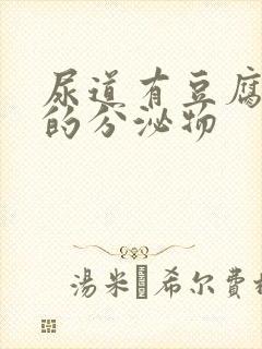 尿道有豆腐渣似的分泌物