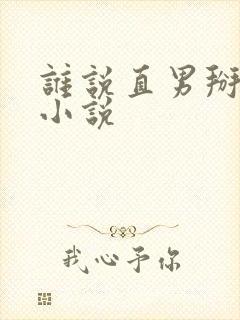 谁说直男掰不弯小说