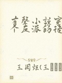 有声小说穿成五个反派的后娘