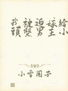 我被迫嫁给死对头双男主小说