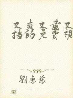 又爽又黄又无遮挡的免费视频