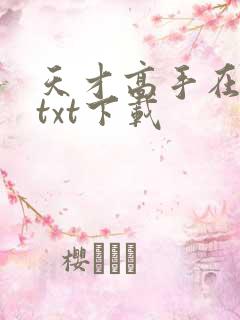天才高手在都市txt下载