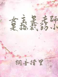 女主是老师男主是总裁的小说现言