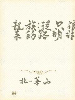 龙族:从只狼归来的路明非的全部小说